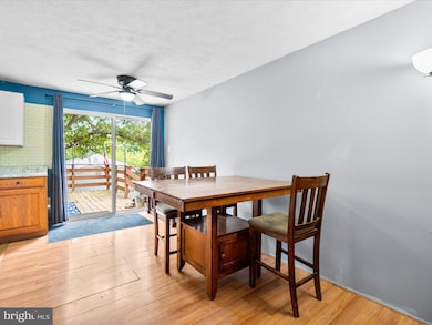 7109 Emerald Ct, Middletown, MD 21769 - photo 3