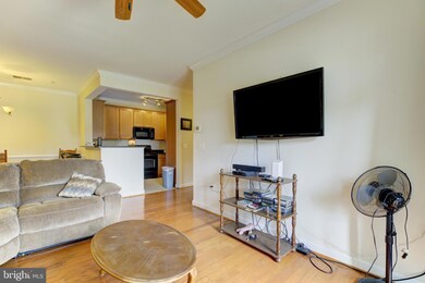 6163 Willow Place unit 104, Bealeton, VA 22712 - photo 6