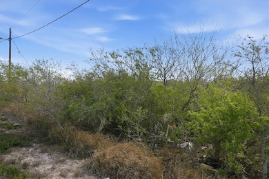 00 Huajilla Bend Rd, Sandia, TX 78383 - photo 2