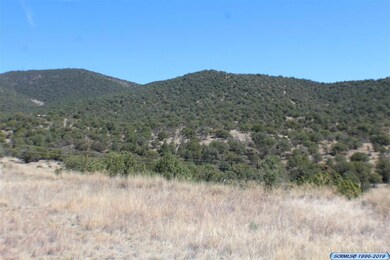 xxxx N Swan St, Silver City, NM 88061 - photo 6