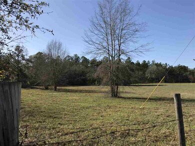 xx Kirton-Frazey Rd unit 4, Crawfordville, FL 32327 - photo 6