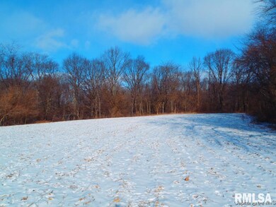 0 Gridley Rd, Virginia, IL 62691 - photo 2
