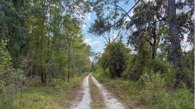 TBD-1 US Highway 41, White Springs, FL 32096 - photo 6