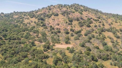 0 Ruth Hill Rd unit 616689, Squaw Valley, CA 93675 - photo 7