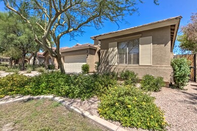 1167 N Cholla St-2