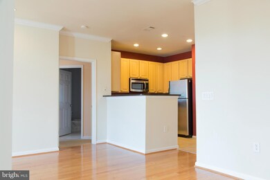 2301 25th St S unit 4305, Arlington, VA 22206 - photo 4