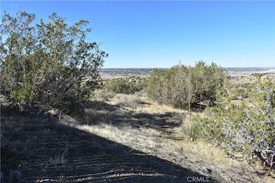 20511 Memory Ln, Apple Valley, CA 92308 - photo 7