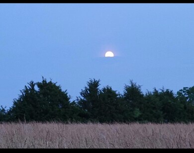 2640 Fords Mill Rd unit C, Versailles, KY 40383 - photo 5