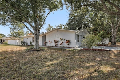 3100 N Canal Dr, Palm Harbor, FL 34684 - photo 2