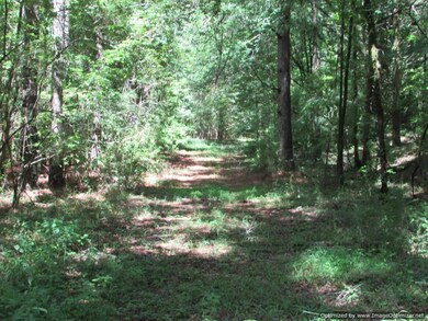 0 Bend Rd unit 11613629, Vaughan, MS 39179 - photo 4