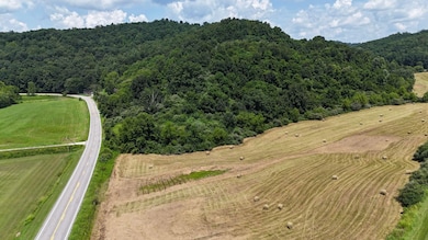 Sr 34 S, Hurricane, WV 25526 - photo 6