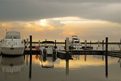 Marina at Oyster bay