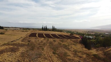 0 Omaopio Rd unit 402559, Kula, HI 96790 - photo 4