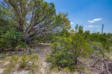 5507 Ruff Country Ct, Brazos Bend, TX 76048 - photo 4