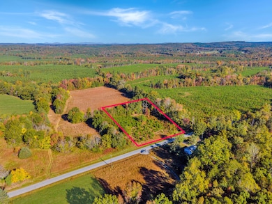 677 White Fall Rd, Gretna, VA 24557 - photo 3