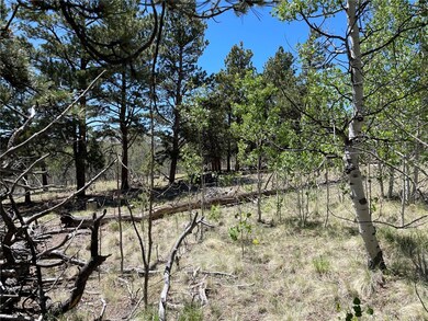 55 Deer Ct, Como, CO 80432 - photo 5