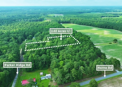 0 Parker Ridge Rd, Pendleton, NC 27862 - photo 4