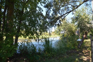 Marsh views