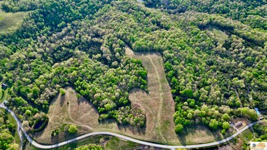 52 Acres Weed Keltner Rd, Columbia, KY 42728 - photo 4