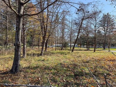 0 Olcott Rd N, Big Flats, NY 14814 - photo 6