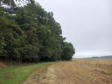 0 Fox Grove Rd, Parksley, VA 23421 - photo 2