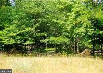 24 Pioneer Trail, Great Cacapon, WV 25422 - photo 6