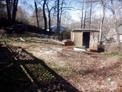 52 Newfound Rd, Leicester, NC 28748 - photo 3