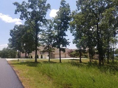 Tbd Summer Rd, Ruth B Rural Township, MO 65686 - photo 6