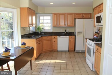13131 Ladybank Ln, Herndon, VA 20171 - photo 7