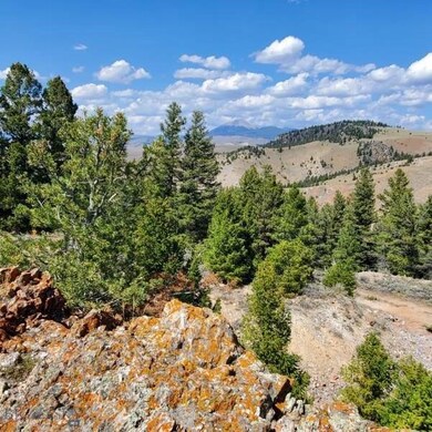 TBD Badger Microwave Rd (Blm Tc4) Rd, Dillon, MT 59725 - photo 4