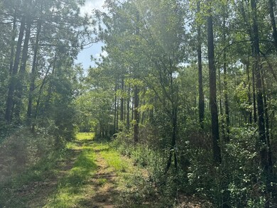 0 Nokomis Rd unit 21694228, Walnut Hill, FL 32568 - photo 5