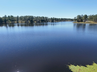 DJI_20241017105404_0009_D