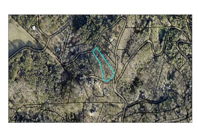 LOT 4LW Katydid Rd, Mineral Bluff, GA 30559 - photo 3