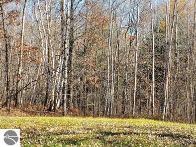 2631 S M 33, West Branch, MI 48661 - photo 3