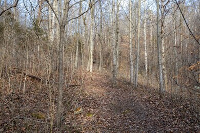 4038 Elihu Cabin Hollow Rd, Somerset, KY 42501 - photo 6