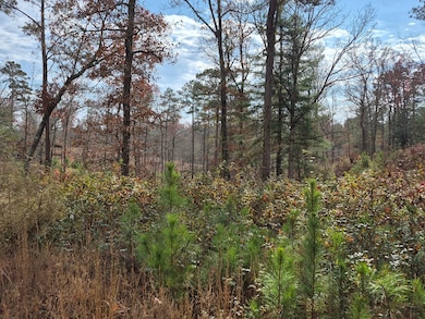 00 High River Crossing, Ellijay, GA 30540 - photo 6