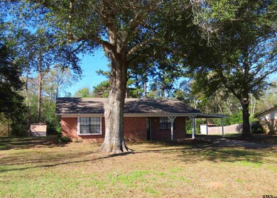 10568 Twin Oaks Dr, Tyler, TX 75707 - photo 5