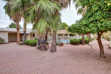 Resort Style Backyard