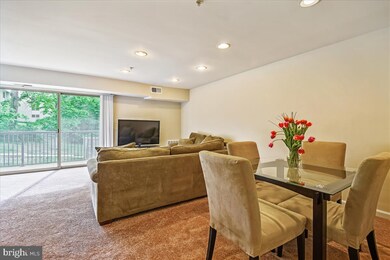 1138 Cove Rd unit 201, Annapolis, MD 21403 - photo 7