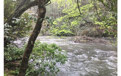 L 619 Neshoba Ct, Ellijay, GA 30540 - photo 2