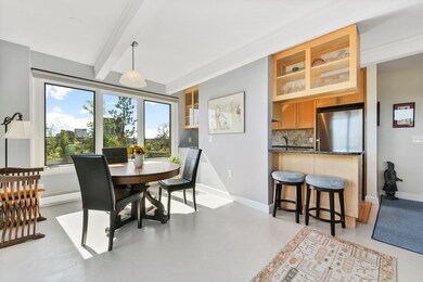 45 Trowbridge St unit PH, Cambridge, MA 02138 - photo 5