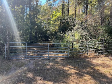 162 Meadow Ln, Livingston, TX 77351 - photo 5