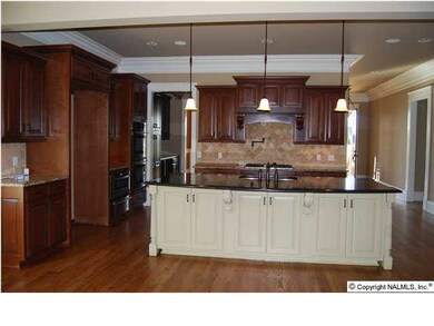 open kitchen with gas hob, pot filler, double oven, microwave, warming drawer, dishwasher. Granite counters and tiled backsplash.