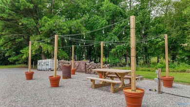 251 Morgan Ln, Section, AL 35771 - photo 4