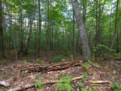 0 Beech Hill Rd unit 13 4773150, Warren, NH 03279 - photo 6