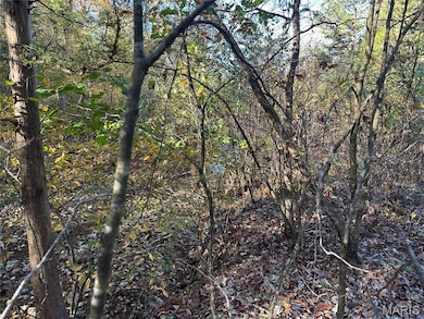 00 County Road 4, Belleview, MO 63623 - photo 7