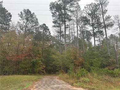 View of road featuring a forest view