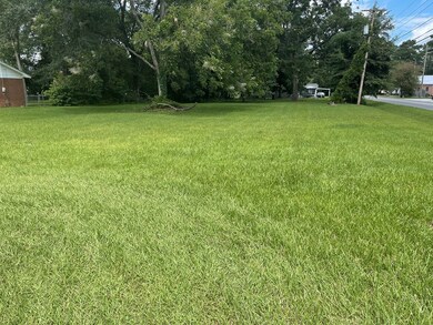 0 E Meeting Street and North Gordon St, Adel, GA - photo 7