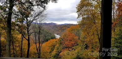 386 Old Log Rd, Green Mountain, NC 28740 - photo 5