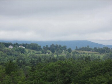 316 Bog Rd, New London, NH 03257 - photo 3